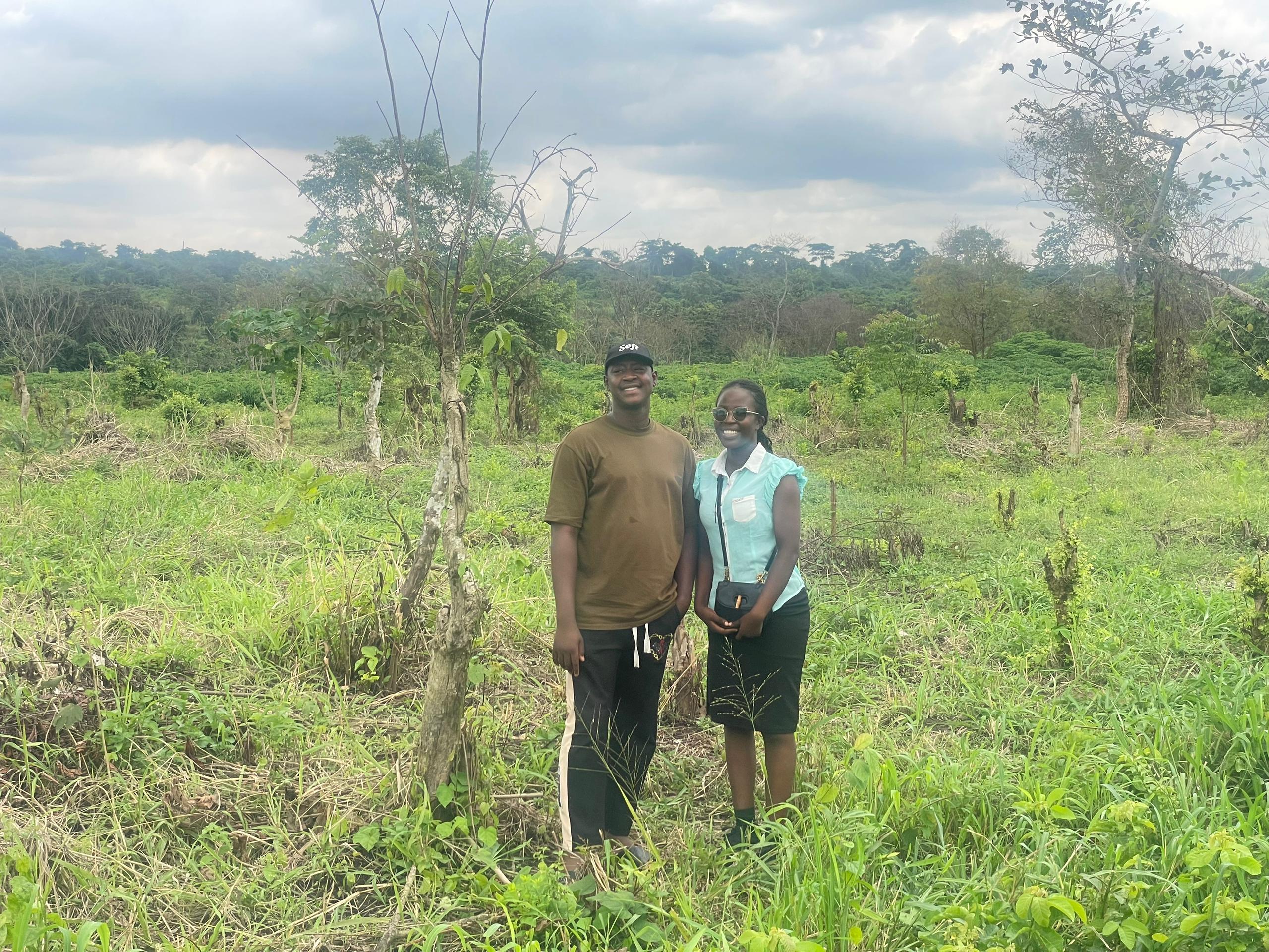 Landblaze Limited